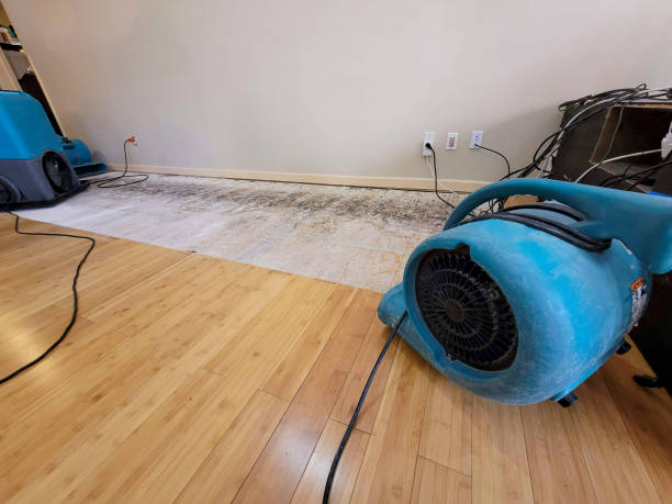 Professional Sewage Cleanup technician working in Forest Lakes, AZ